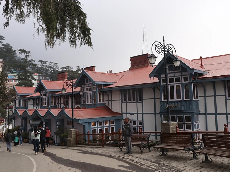 The Clarkes, Shimla